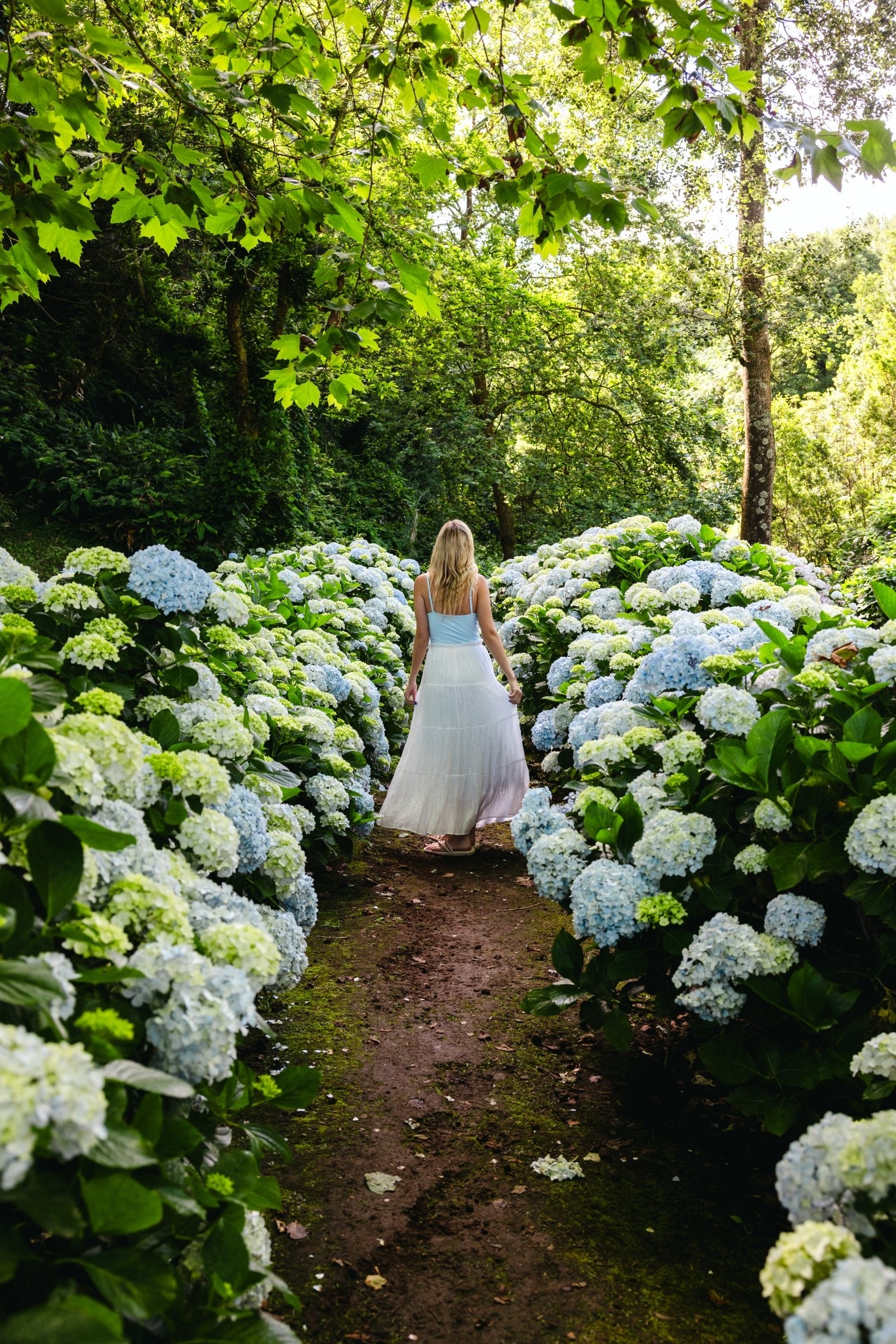 Walking through a fairytale in the Azores 🧚🪻

#LTKTravel #LTKootd