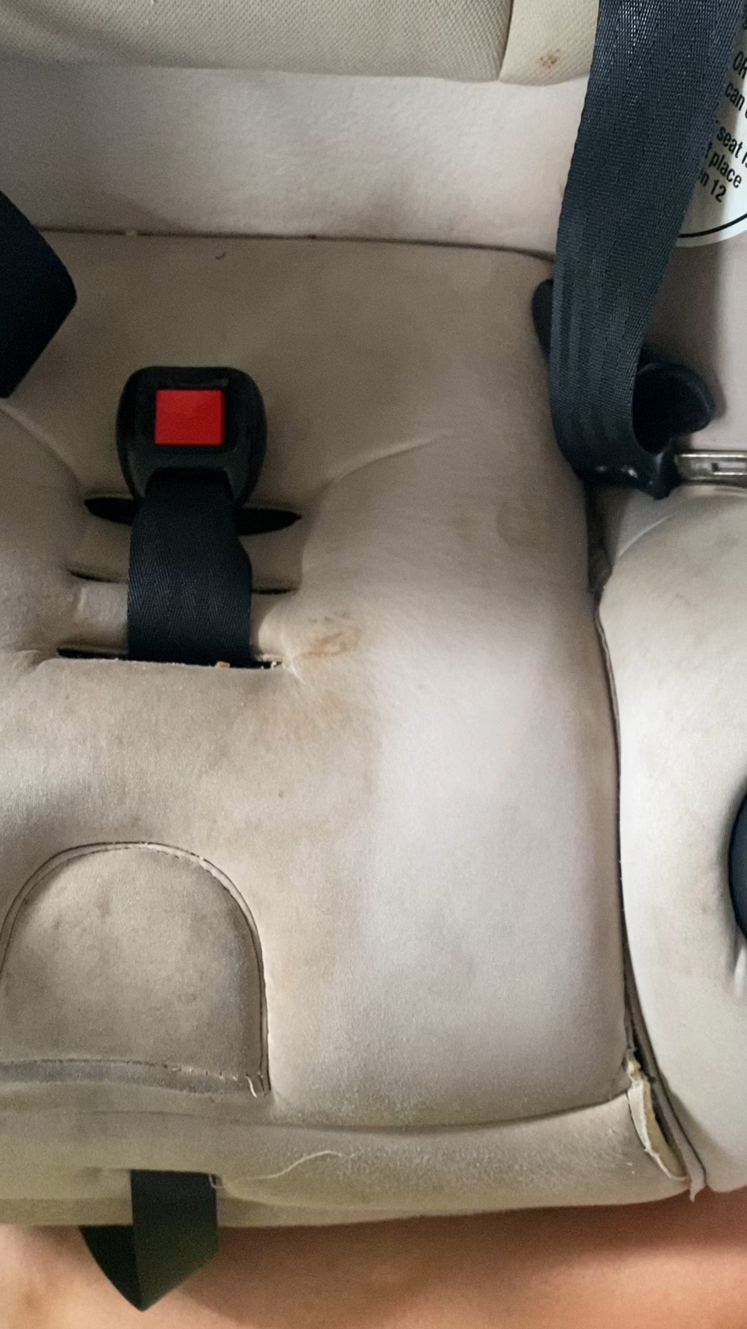 My holy grail Bissell Little Green upholstery cleaner for carpet, car seats and beyond is 28% off today for Prime Deal Days! 

#LTKxPrime #LTKhome #LTKsalealert