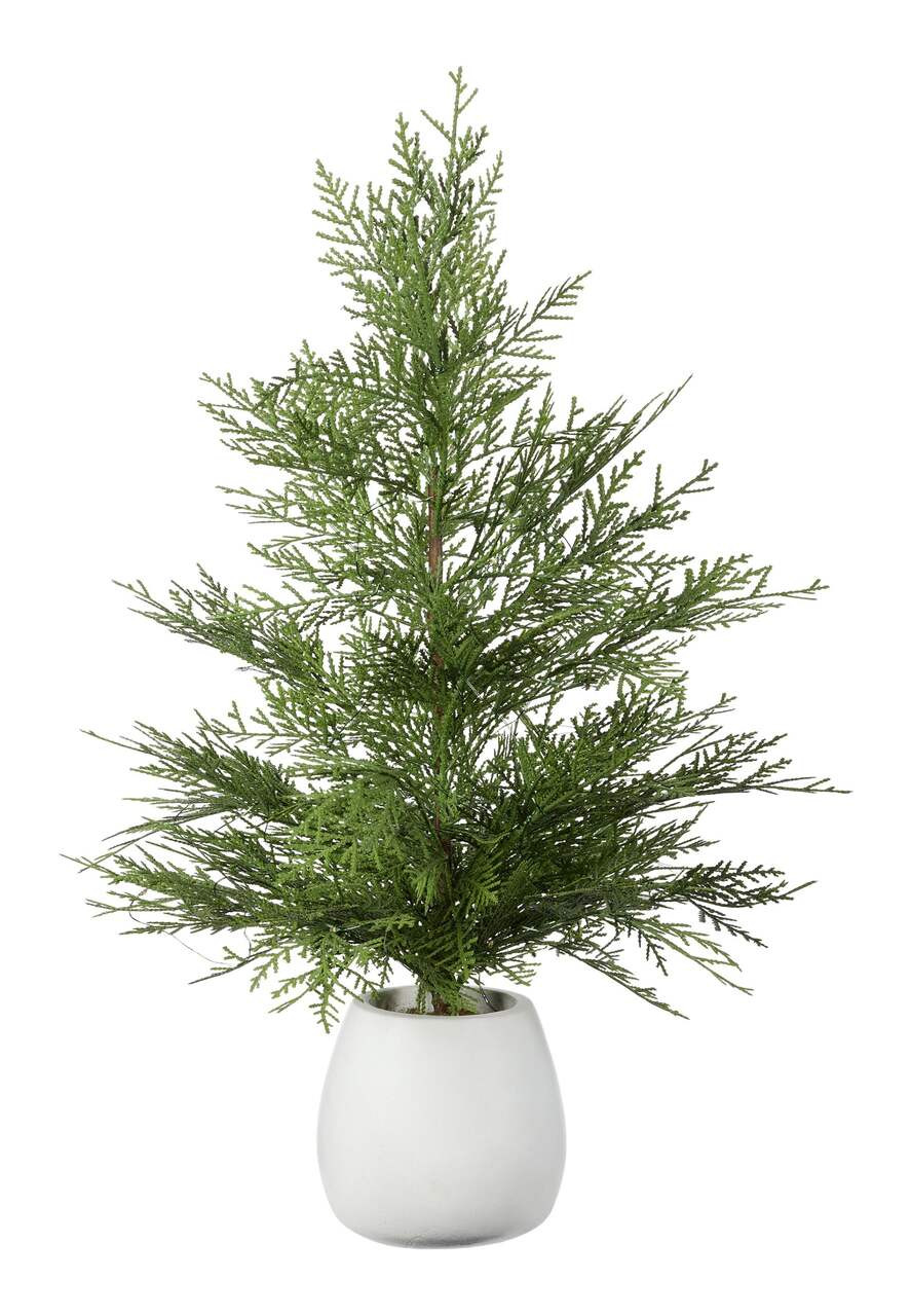 CANVAS Night Before Christmas Collection Pre-Lit Tabletop Cedar Tree in White Ceramic Pot, 24-in | Canadian Tire