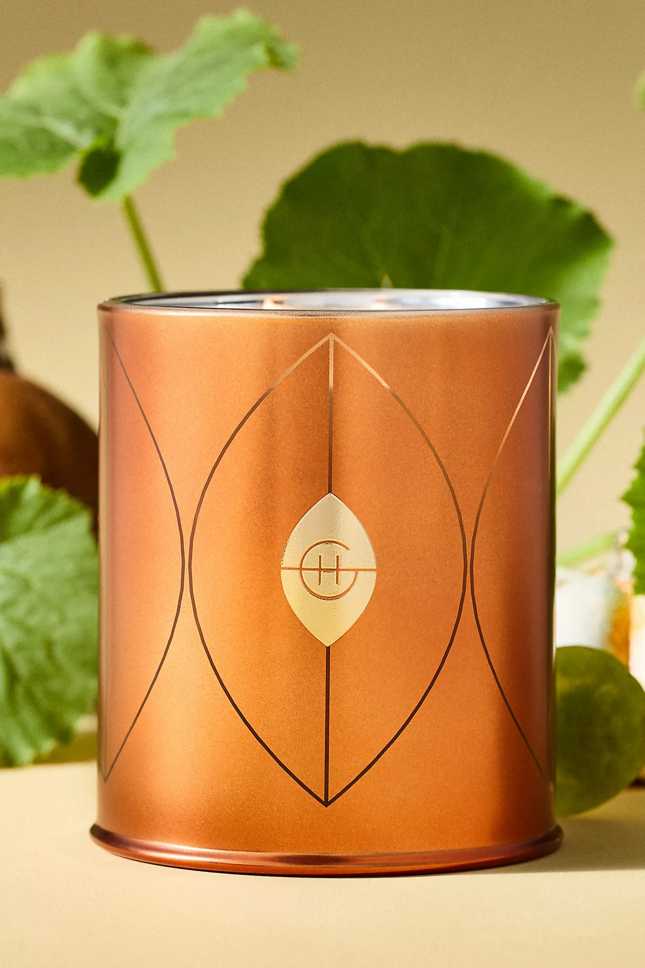 Glasshouse Fragrances Gourmand Harvest Muse Glass Candle | Anthropologie (US)