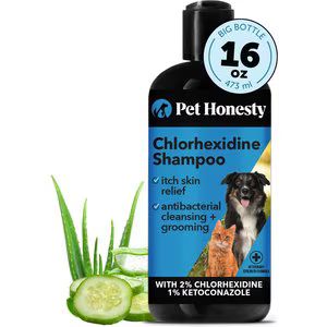 PetHonesty Chlorhexidine Antibacterial Cleansing & Odor Remover Dog Shampoo, 16-oz bottle | Chewy.com