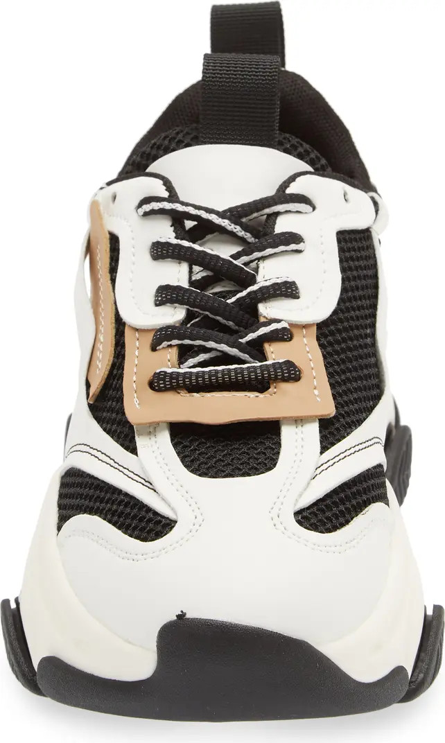 Steve Madden Possession Sneaker (Women) | Nordstrom | Nordstrom