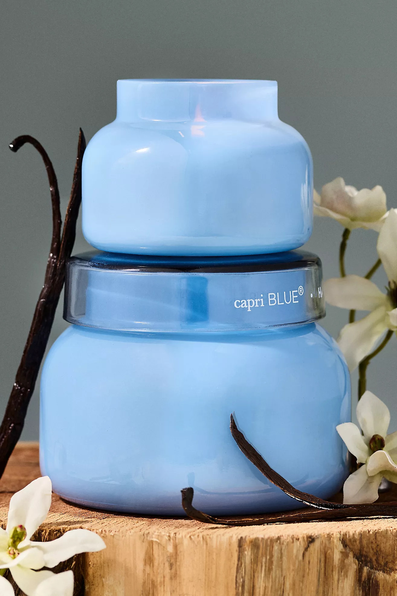 Woody Havana Vanilla Glass Jar Candle | Anthropologie (US)