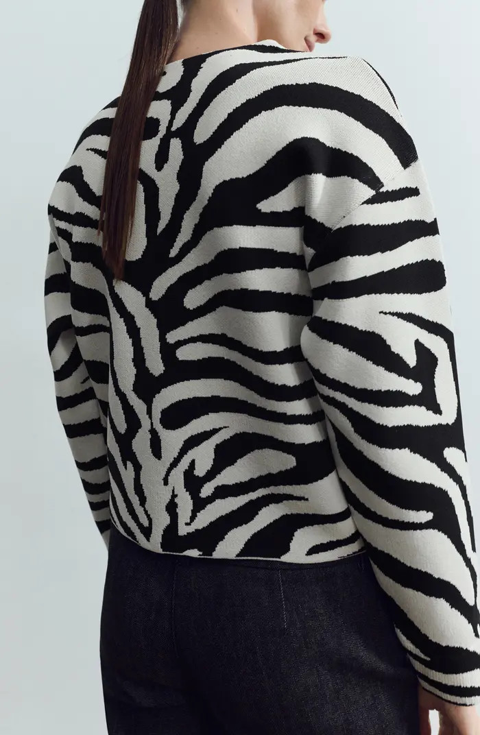 Zebra Print Sweater | Nordstrom