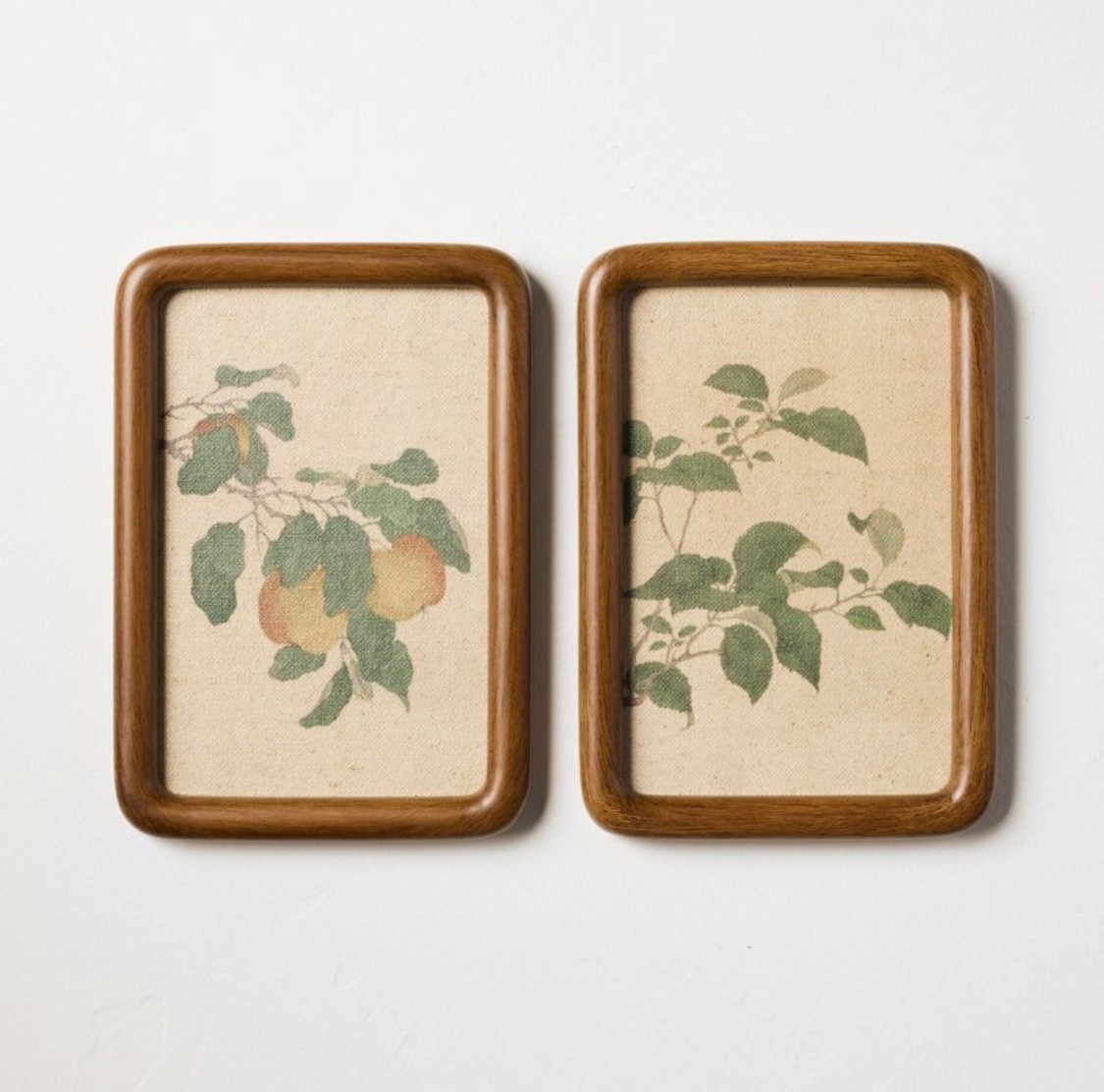 Refresh any space with the eye-catching style of this 2-Pack Leafy Fruit Framed Wall Art Set from Hearth & Hand™ with Magnolia. Encased in stylish brown wooden frames, this wall art set includes one piece with leaves and another with fruit print on textured canvas backdrops. Featuring sawtooth backs for easy hanging, these wall art pieces make elegant additions to any room in your home

#LTKSeasonal #LTKValentine #LTKHome