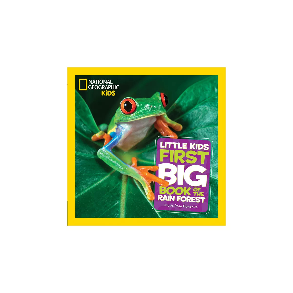 National Geographic Little Kids First Big Book of the Rain Forest - by  Moira Rose Donohue (Hardc... | Target