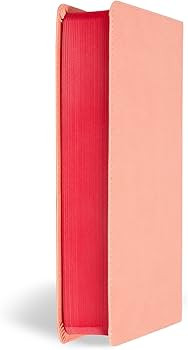 KJV Kids Bible, Peach LeatherTouch, Large Print, Red Letter, Study Helps for Kids, Full-Color Ins... | Amazon (US)