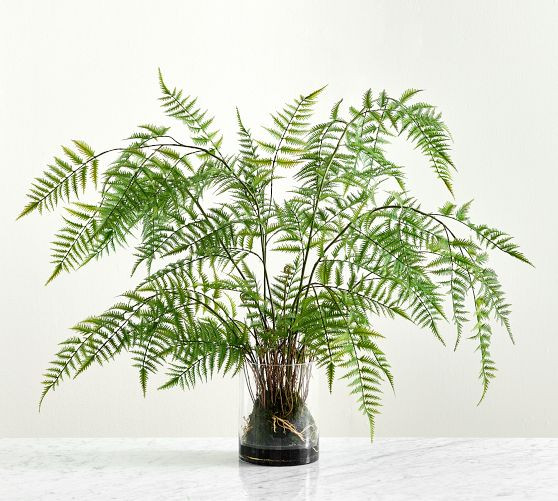 Faux Oversized Potted Fern | Pottery Barn (US)