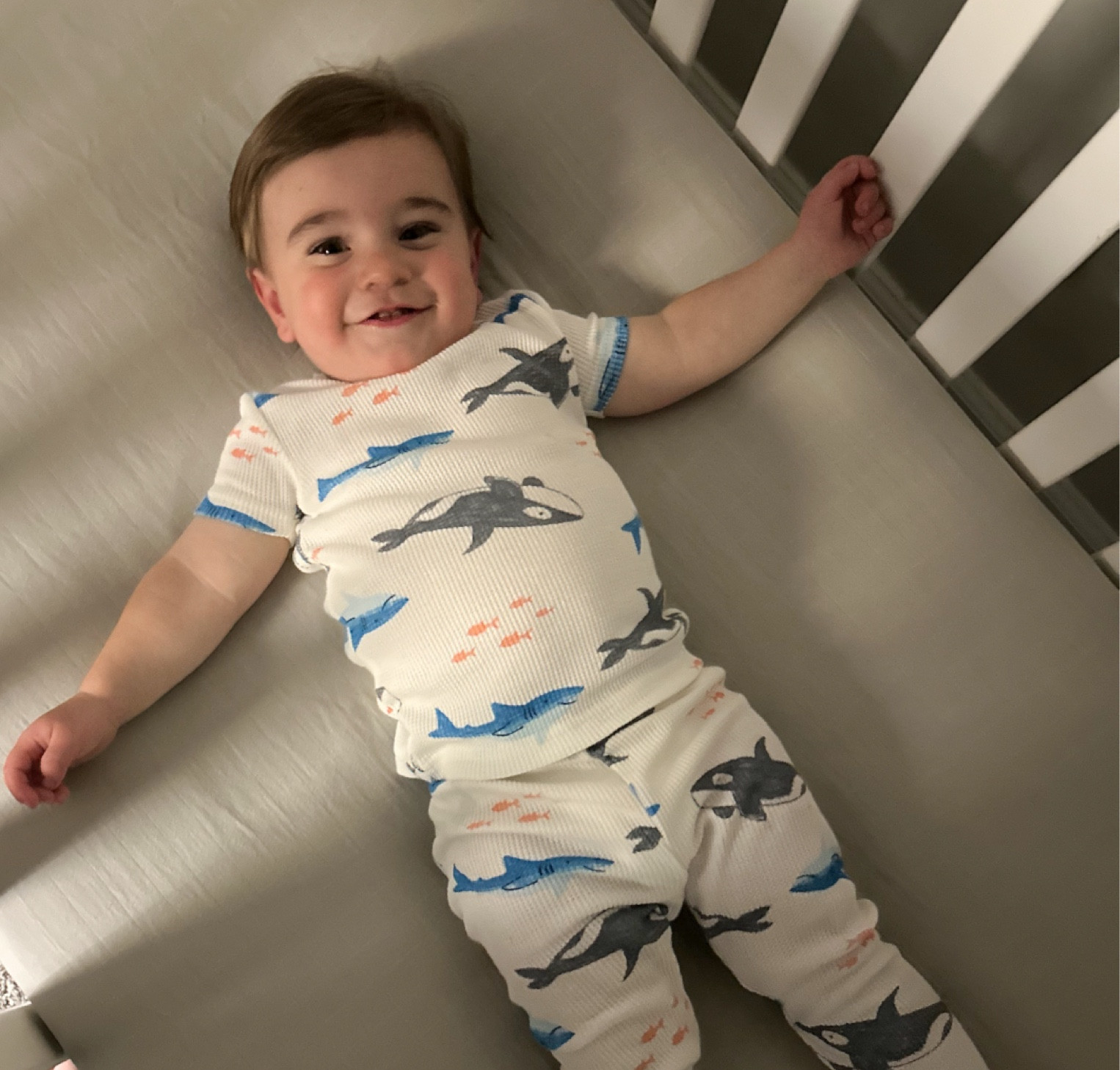 Cute 10 dollar pajamas 🐳

#LTKSeasonal #LTKBaby #LTKFamily