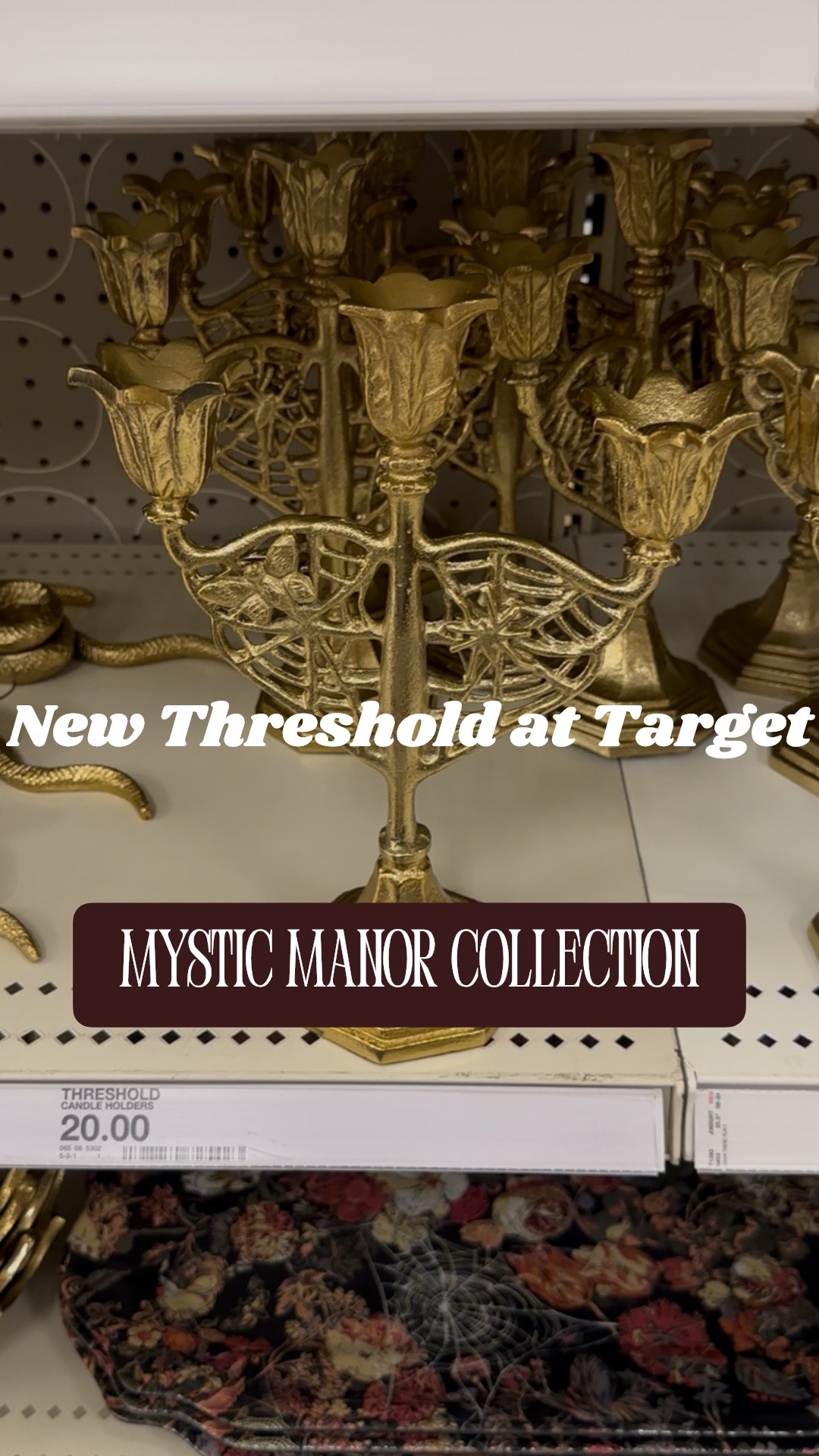 Dark romantic vibes with this new Halloween collection by Threshold, haunting and pretty ✨🕸️




#LTKSeasonal #LTKHome