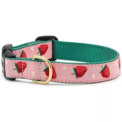 Up Country Donuts Dog Collar, … curated on LTK