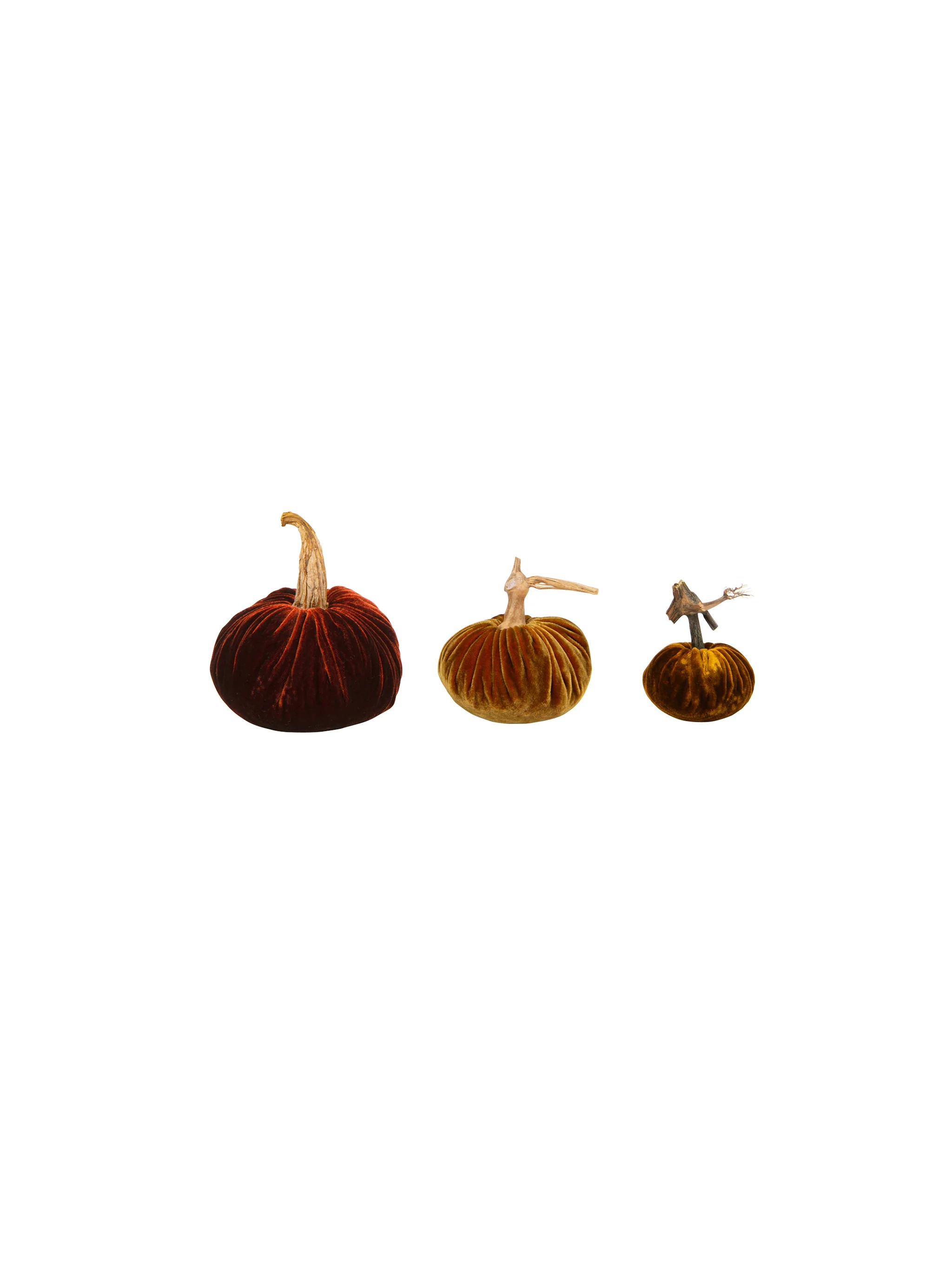 Velvet Pumpkin Autumn Trio | Weston Table