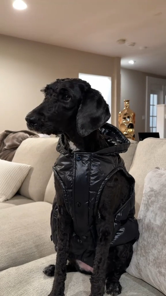 Had to get matching super puffs w/ my dog this winter for the Aritzia Sale 🖤

#LTKHoliday #LTKootd #LTKSaleAlert