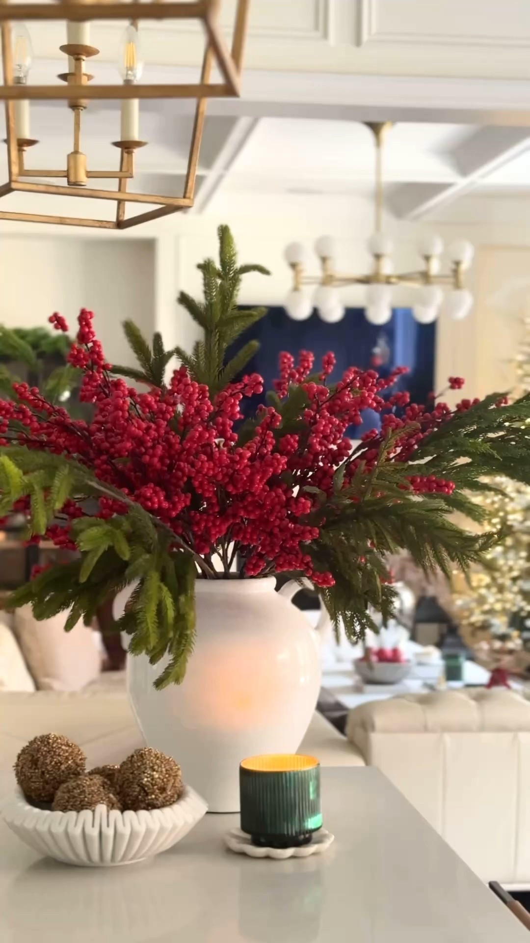 Red Berry branches

#LTKhome #LTKcanada #LTKsale