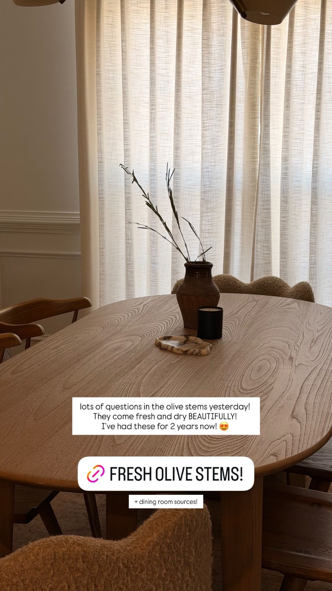 lots of questions in the olive stems yesterday! They come fresh and dry BEAUTIFULLY!
I’ve had these for 2 years now! 😍 + dining room sources!