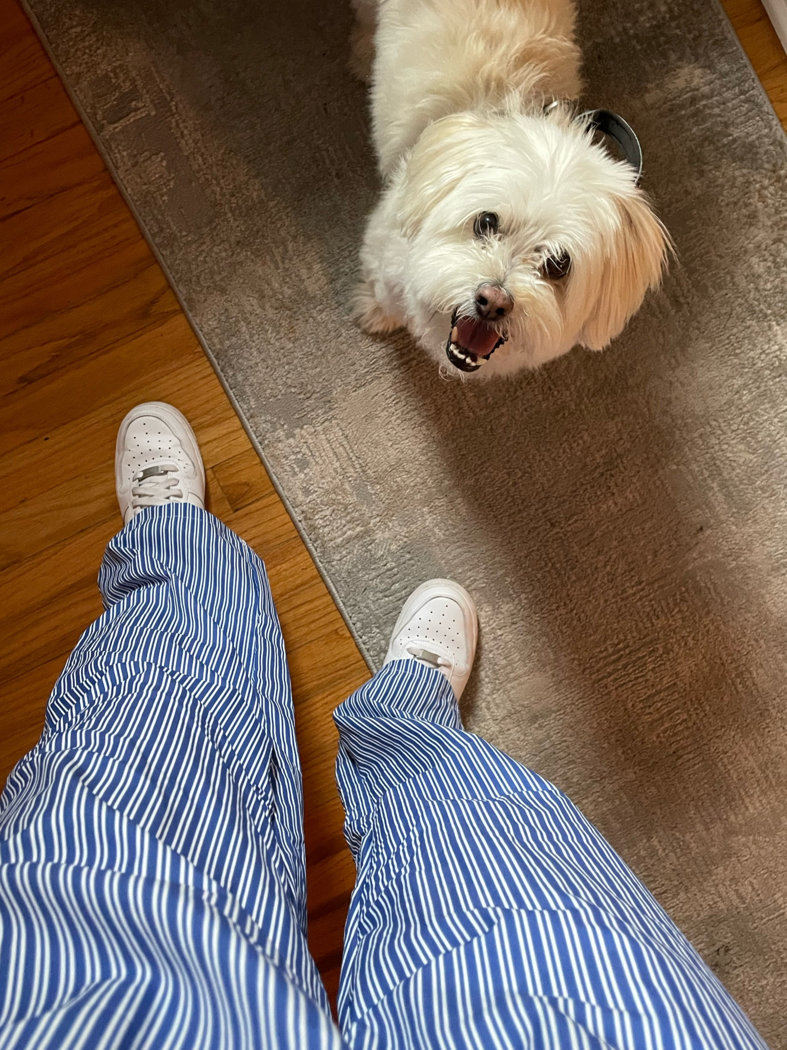 Boxer/PJ Pant Trend

#LTKStyleTip #LTKFindsUnder50