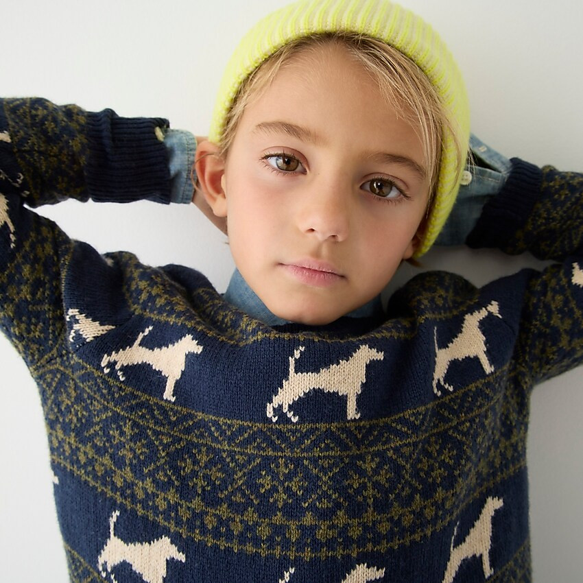 Boys' dog Fair Isle sweater | J. Crew US