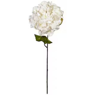 Cream Hydrangea Stem by Ashland® | Michaels Stores