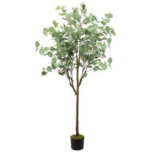 HOMLUX 63 in. Eucalyptus Plants Tree 5.27 ft. Tall | The Home Depot