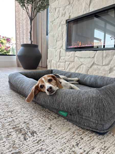 Lacey loves her newton pet bed! 

