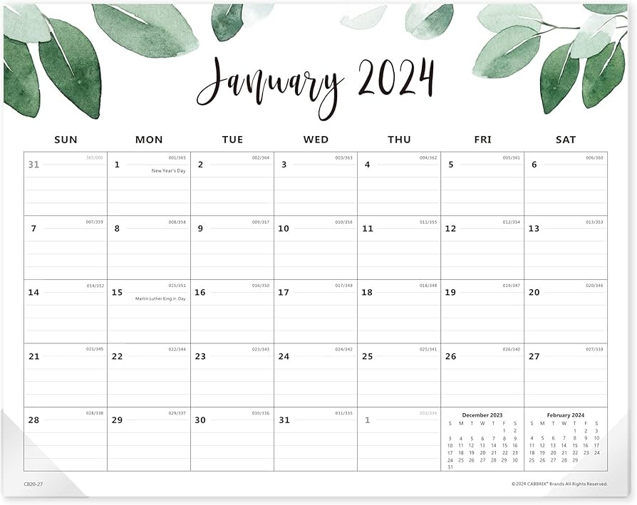 Magnetic Calendar for Fridge, Cabbrix Fridge Calender Runs From Jan 2024 to Jun 2025, Refrigerato... | Amazon (US)