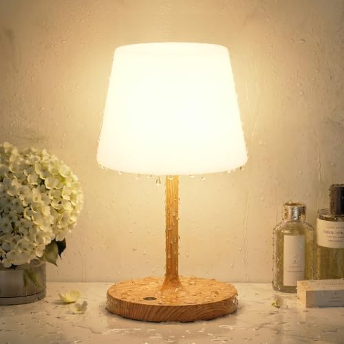 Shower Lamp IP54 Waterproof, Cordless Rechargeable Table Lamp, Outdoor Use | Amazon (US)