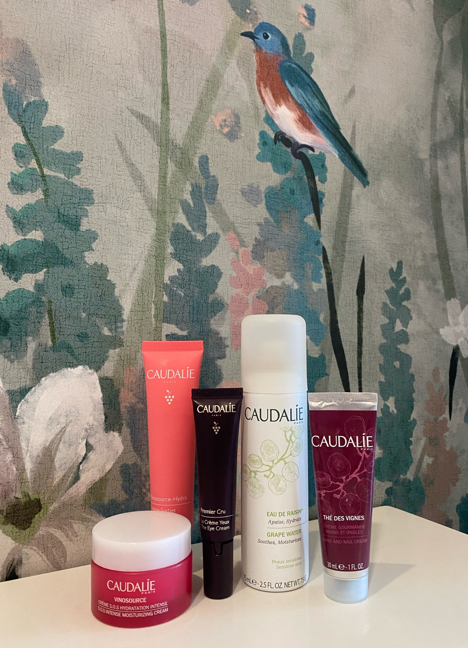 My must-have Caudalie skincare products  

#LTKtravel #LTKSeasonal #LTKbeauty