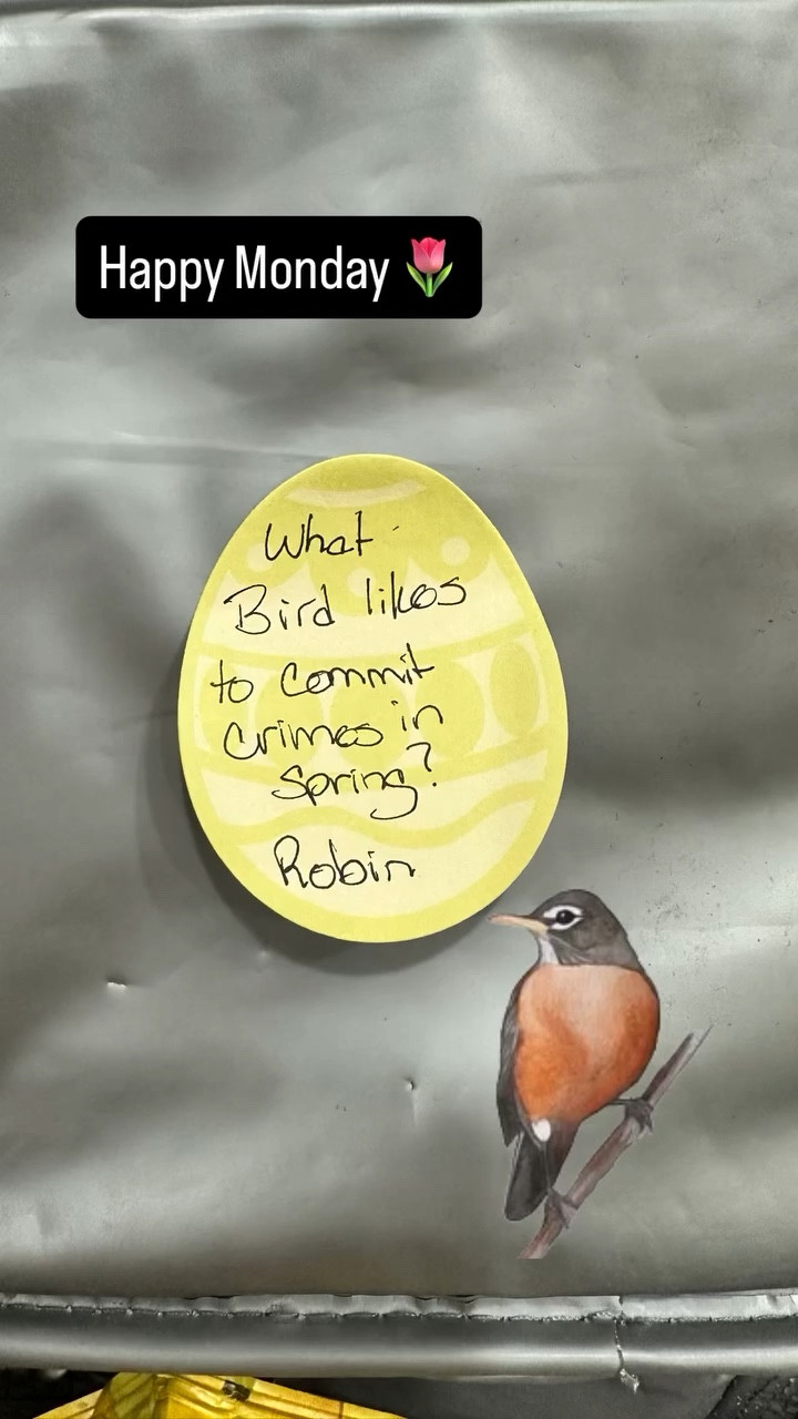 Happy Monday 🌷

#LTKfoodie #LTKmorningroutine #LTKKids