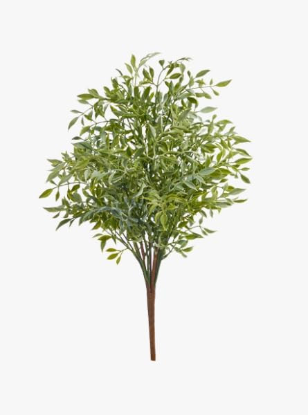 Soft Touch Ruscus | Amazon (US)