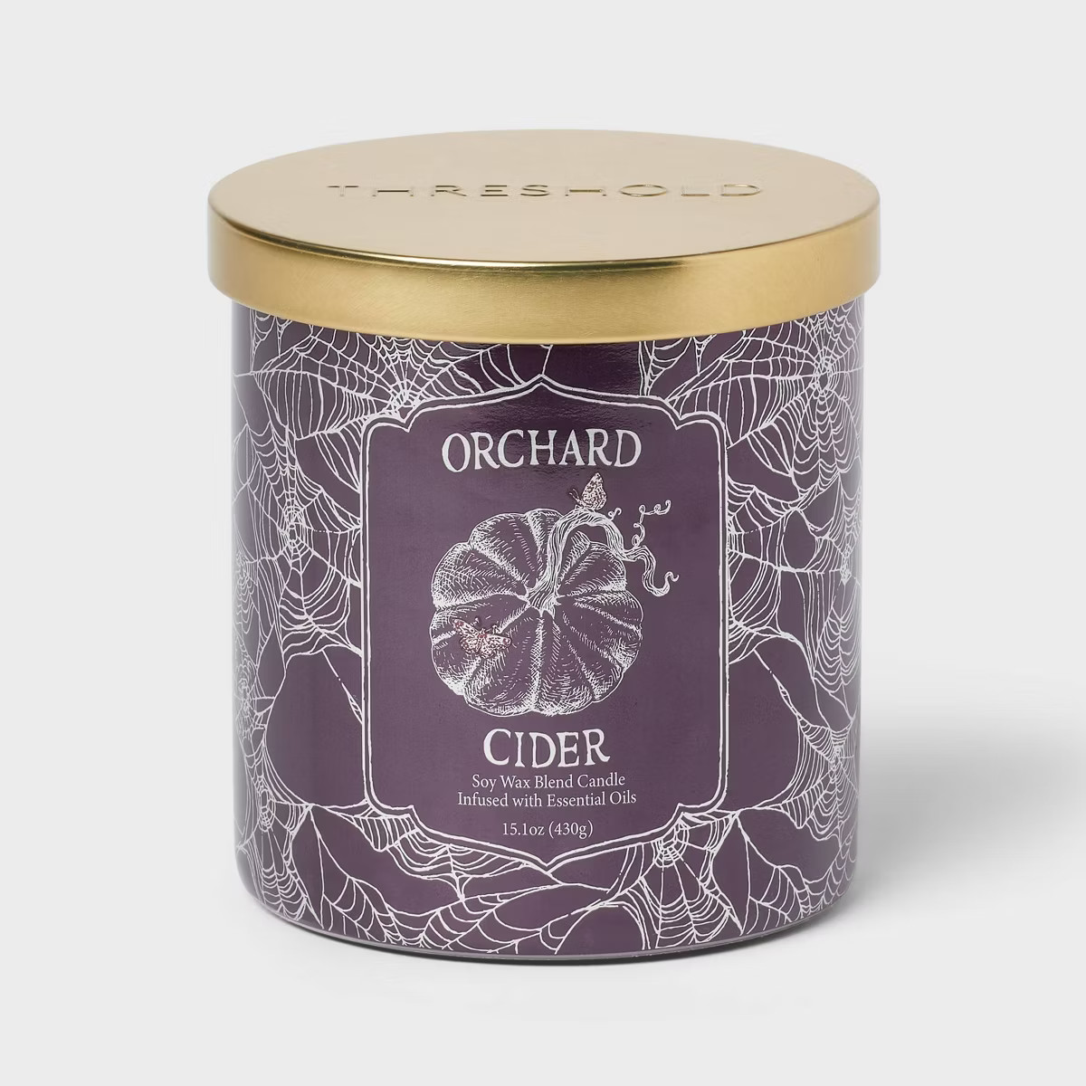 2-Wick 15.1oz Lidded Glass Orchard Cider Jar Candle - Threshold™ | Target