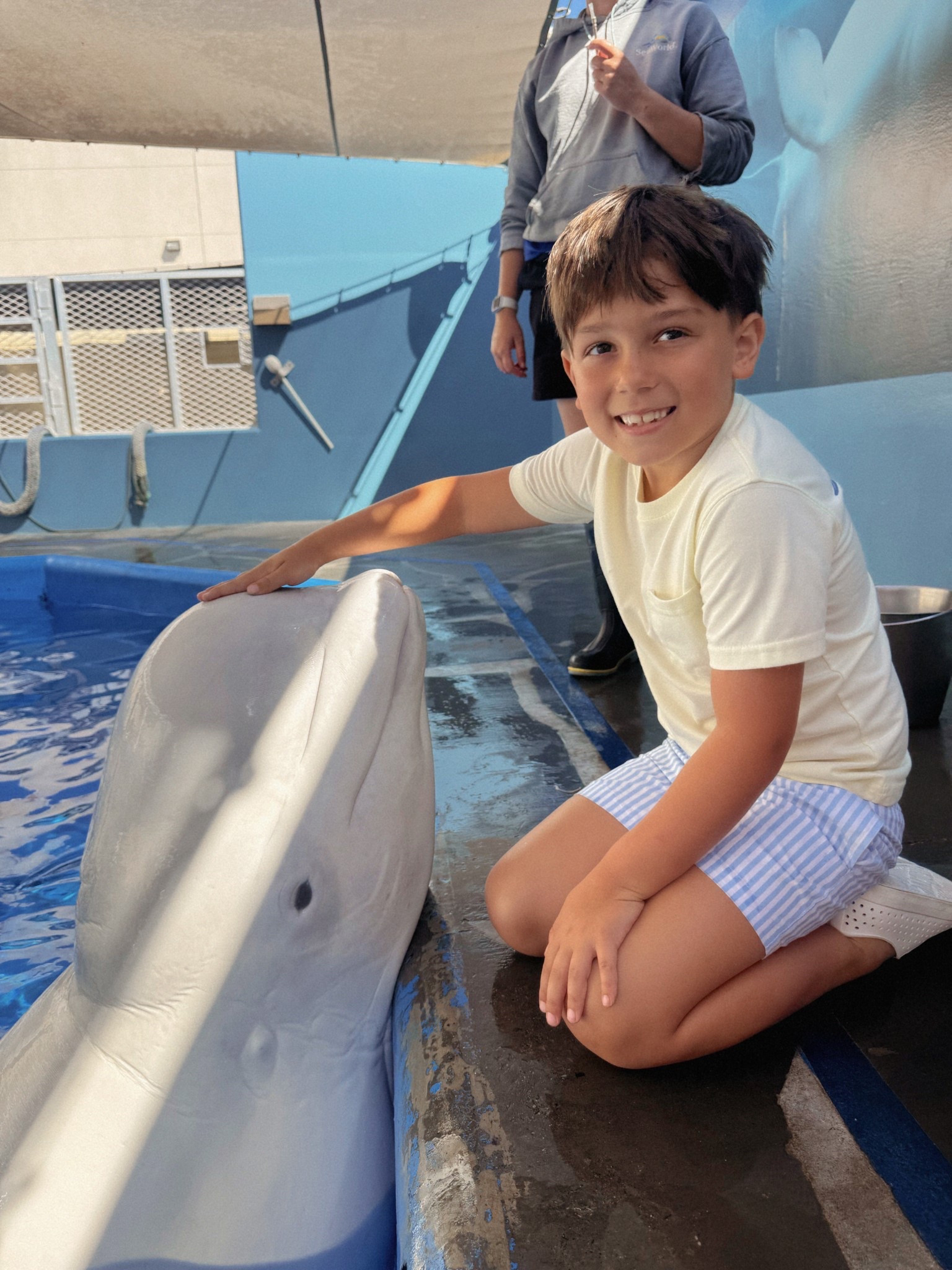 The Beaufort bonnet company are the only shorts my son wears. I love how they are above the knee and so comfy for him. He loves the patterns they have and the prepletic ones are my favorite for him playing sports. They are his go to for golf  

#LTKSaleAlert #LTKKids #LTKootd