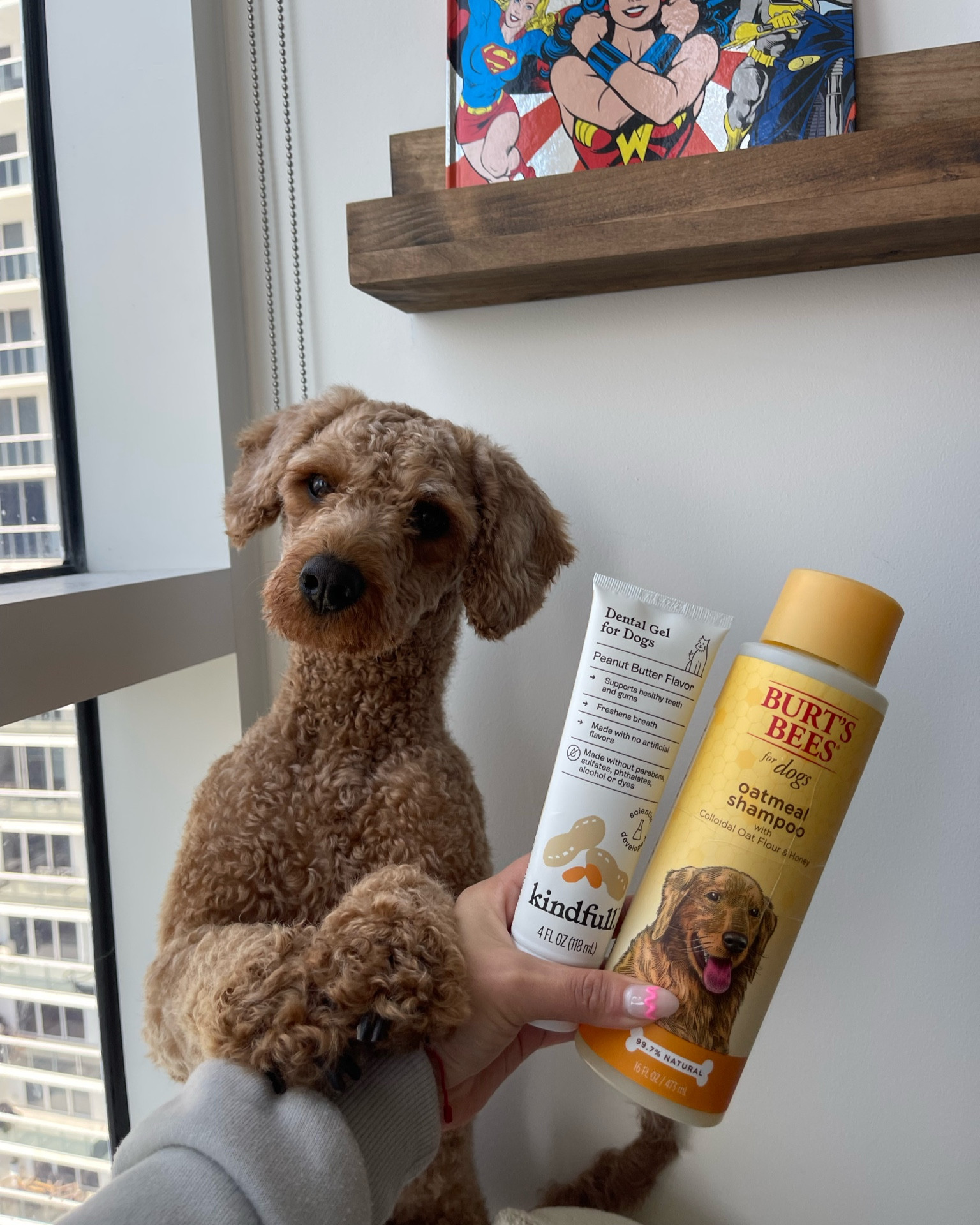 You need these for your pups 🐶 

#LTKfamily #LTKunder50 #LTKFind