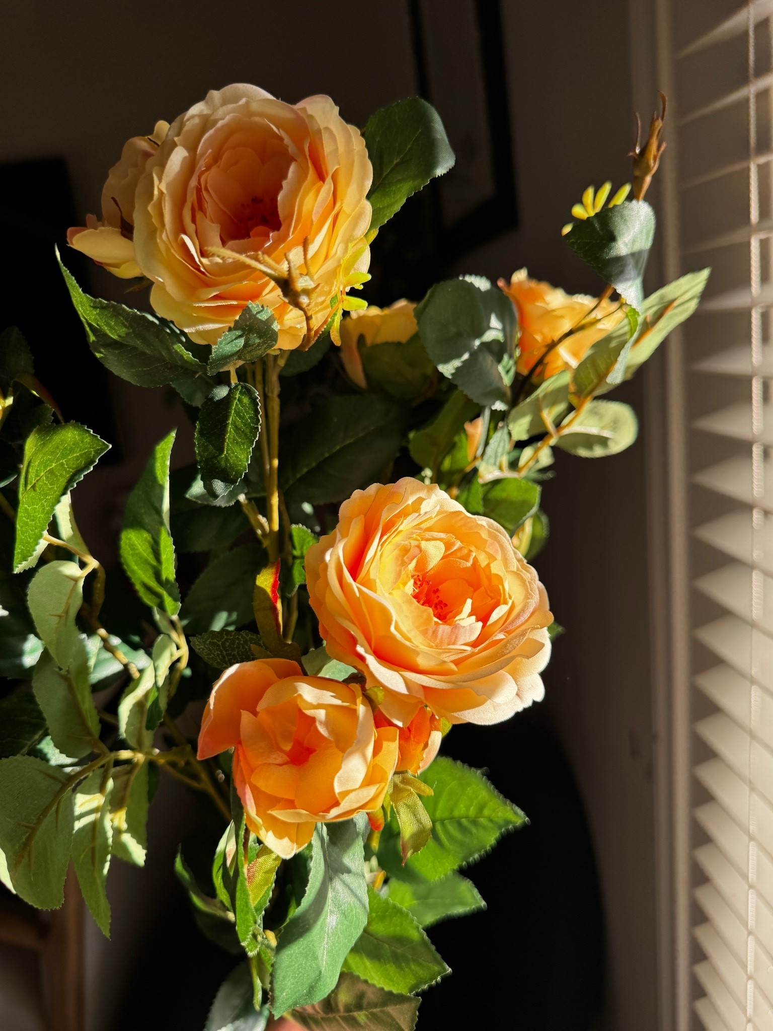 I still can’t believe how real these look pottery barn, faux flowers

#LTKHome #LTKOver40 #LTKSeasonal