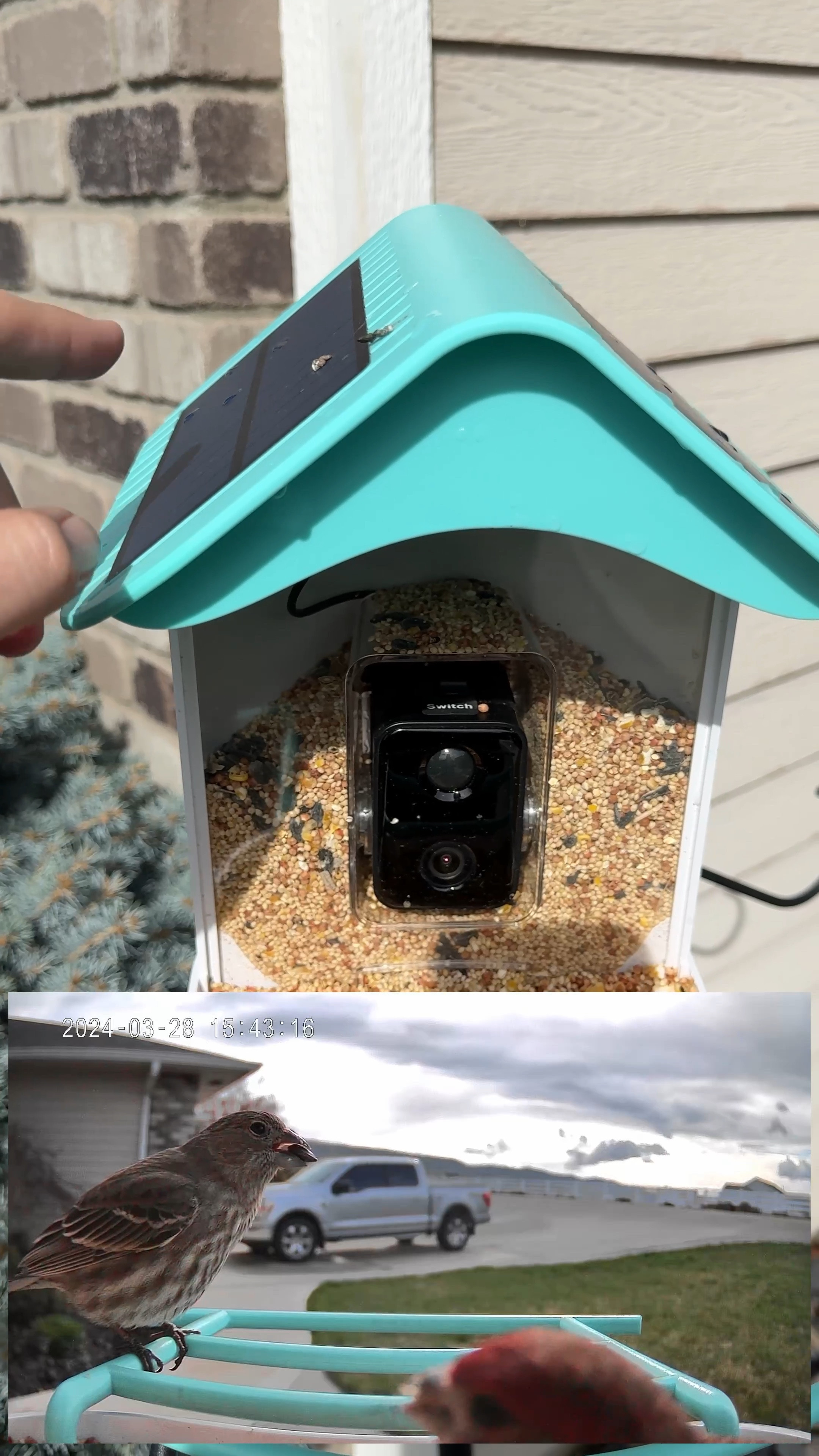 Smart bird feeder with a great camera and solar to keep it charged.
#birds #birdwatching #outdoor 

#LTKVideo #LTKfindsunder100