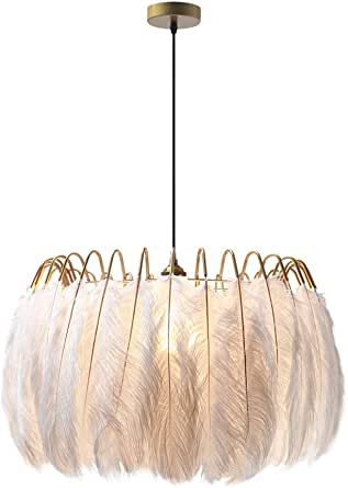 KCO Ligting Modern Pendant Feathers Light Nordic Feather Chandelier Decorative Ceiling Hanging La... | Amazon (US)