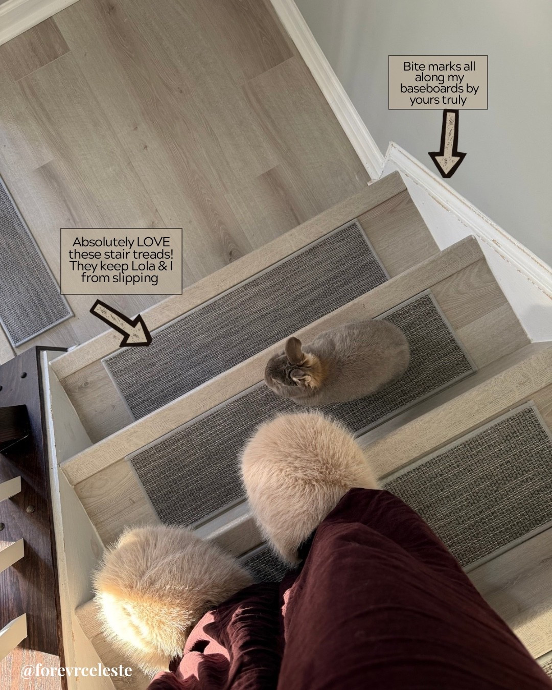 The PERFECT stair treads for you & your pets! #pets #pethome #home #homeaesthetic

#LTKdayinmylife #LTKHome #LTKvlog