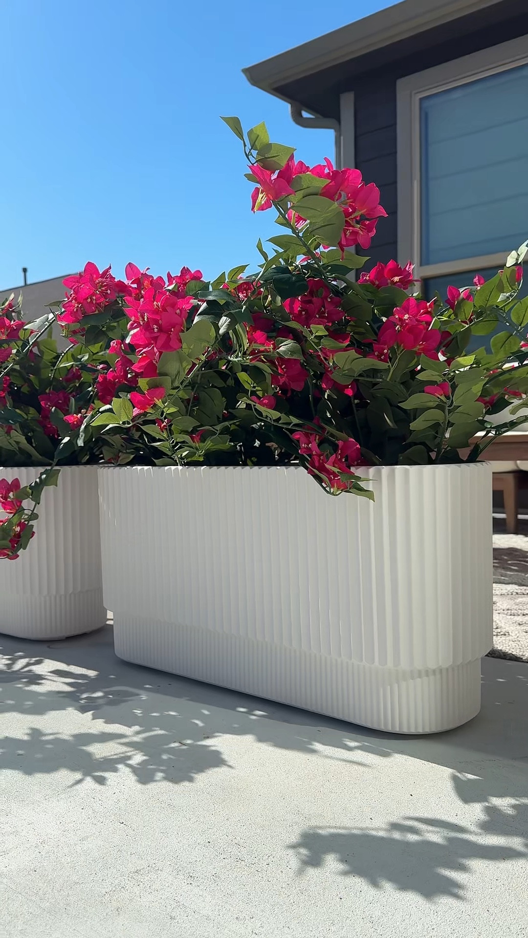 Favorite outdoor planter from @Wayfair comes in multiple colors. 


@Wayfair  #ad #wishyouwerehere #outdoor #wayfair #wayfairpartner 

#LTKHome