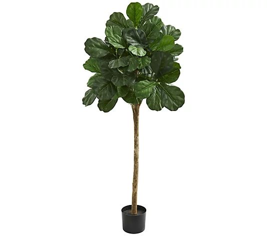 5' Fiddle Leaf Fig Artificial Tree by Nearly Natural | QVC