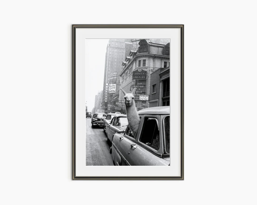 A Llama in Times Square, Inge Morath, New York 1950s, Vintage Analog Photography, Black and White... | Etsy (US)