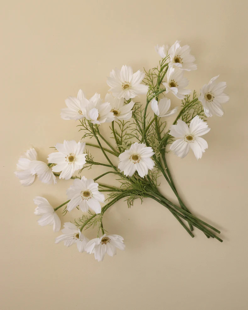 White Cosmos Bundle | Magnolia