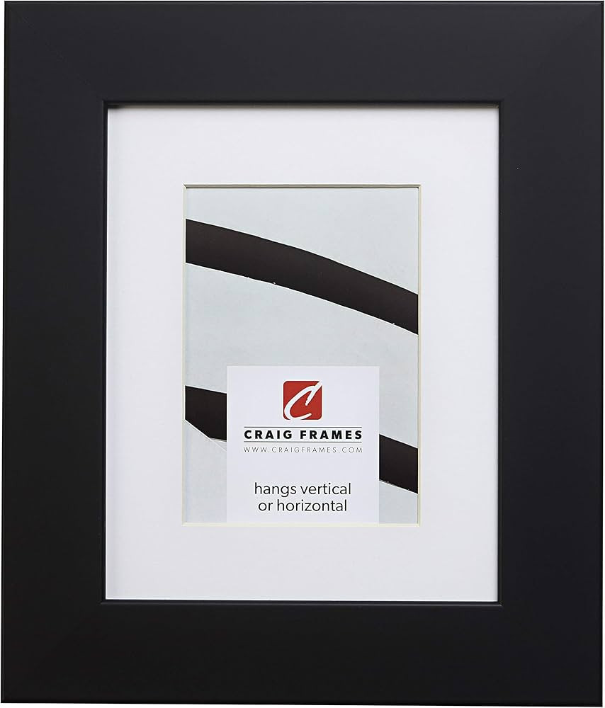 Craig Frames 74273 11 x 14 Inch Satin Black Picture Frame Matted to Display an 8 x 10 Inch Photo | Amazon (US)