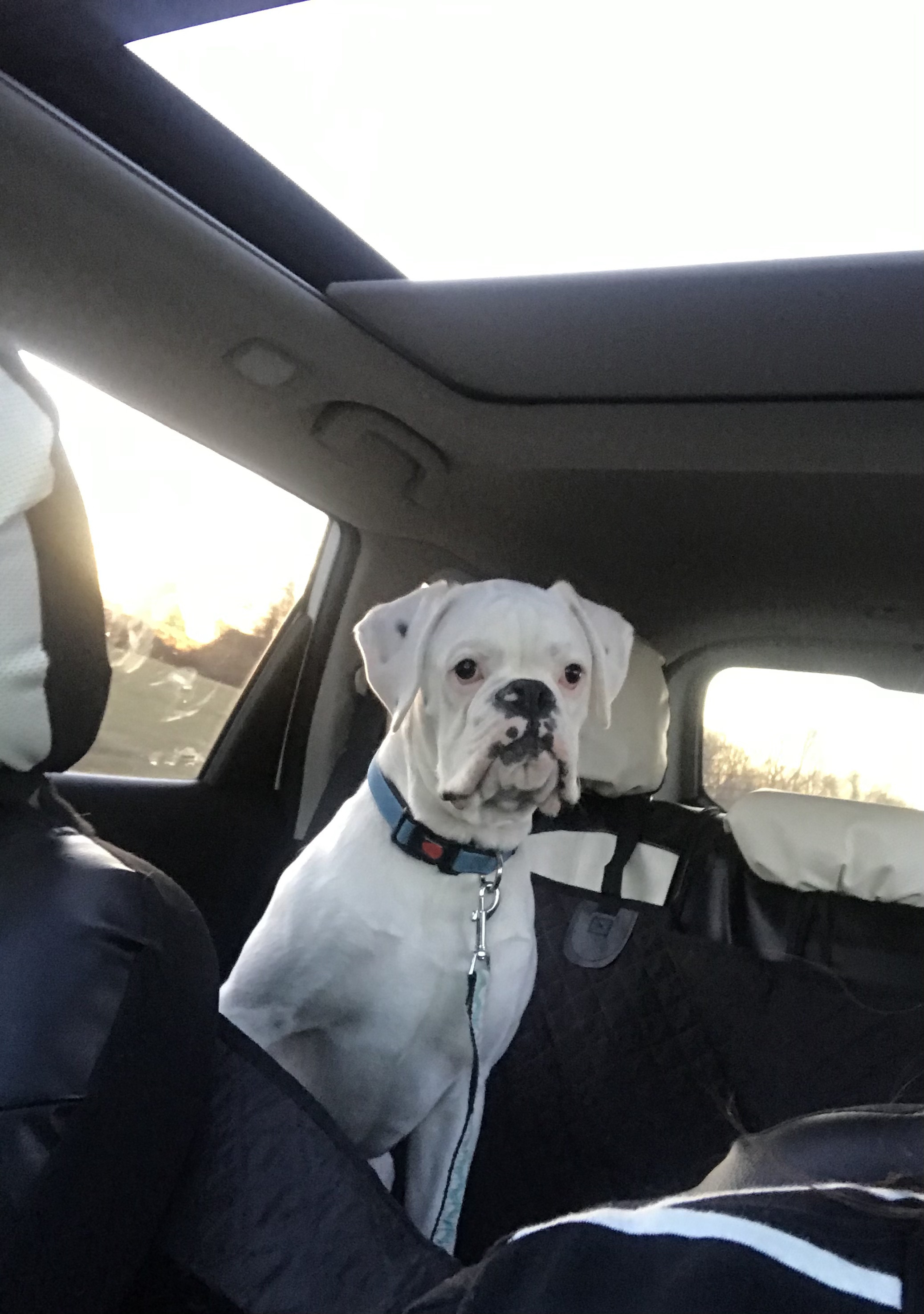 Vacmaster 3.2-Gallon* 2.5 Peak HP Wet/Dry Vacuum – VHB305M 1101 | Amazon (US)