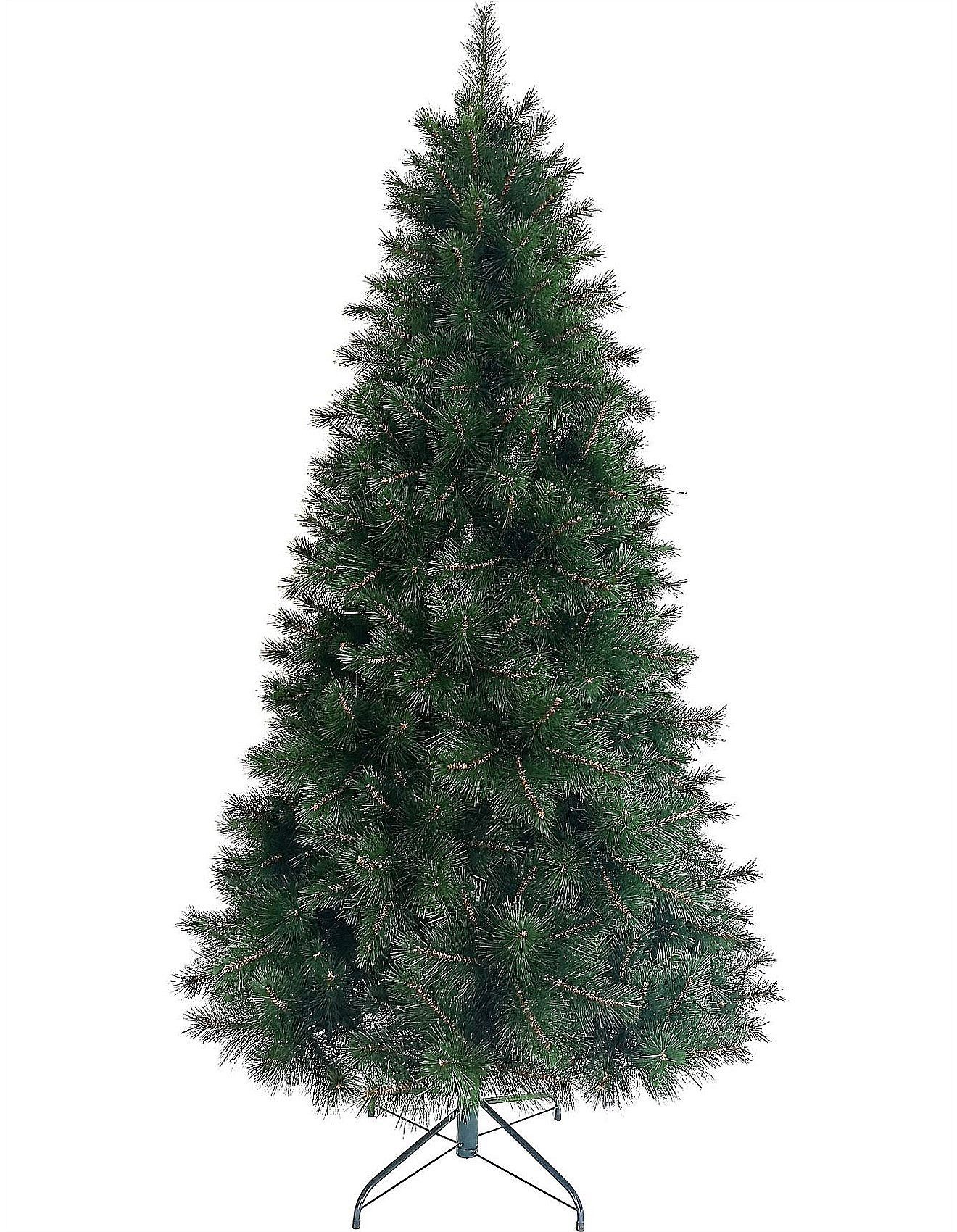 210CM LONG NEEDLE PINE TREE | David Jones (Australia & New Zealand)