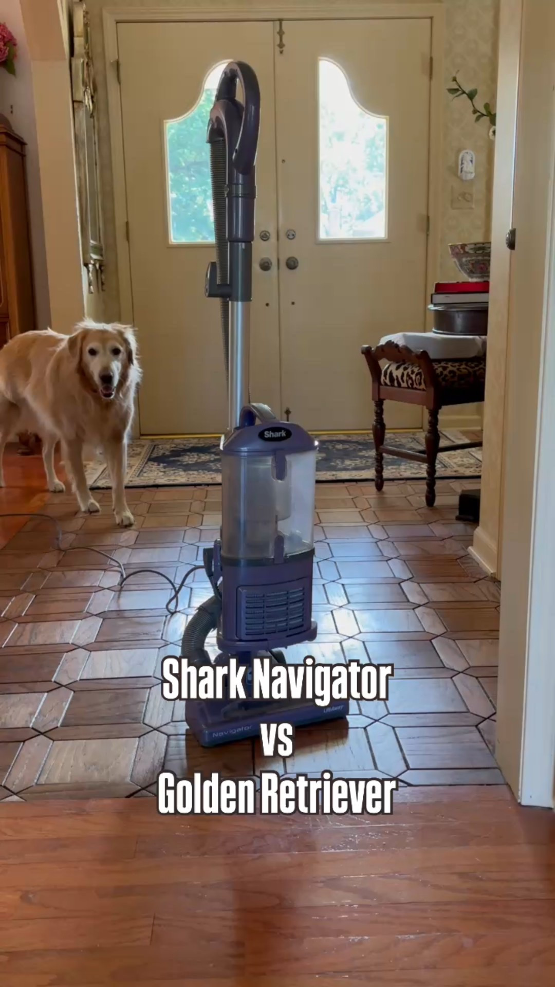 The vacuum we have & love for pet hair is on Amazon prime day!

#LTKSaleAlert #LTKPets #LTKHome