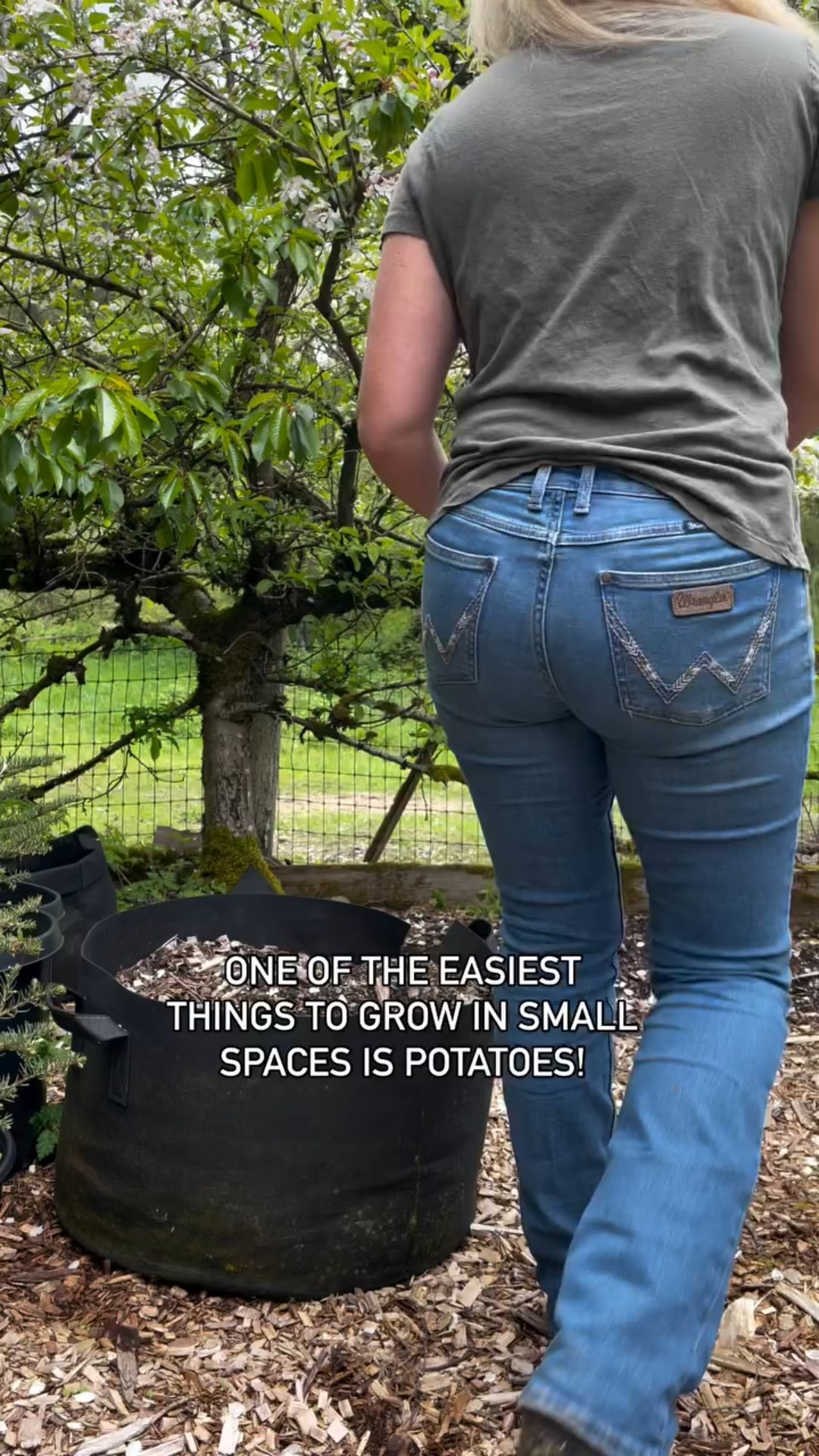 Growing potatoes is so easy!! I love these grow bags and I linked some seed potato varieties that have a short growing season! There is still time! 

#LTKSummerEdit #LTKActive #LTKSeasonal