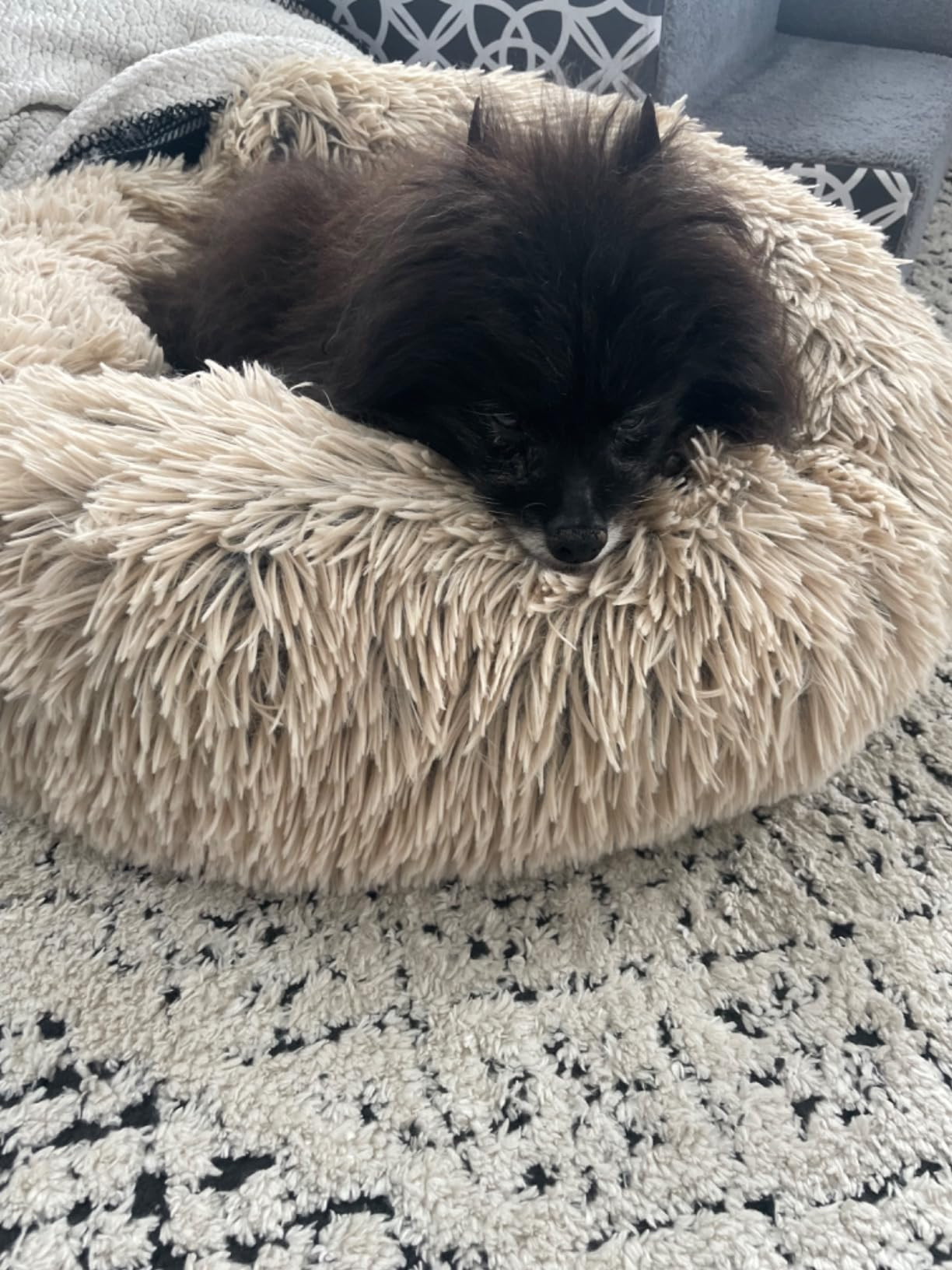 Best Friends by Sheri The Original Calming Donut Dog and Cat Bed in Shag Fur, Taupe, Large, 36x36 | Amazon (US)