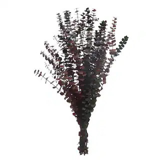 Dried Eucalyptus Bundle by Ashland® | Michaels | Michaels Stores