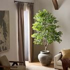 Faux Potted Aralia Tree | West Elm (US)
