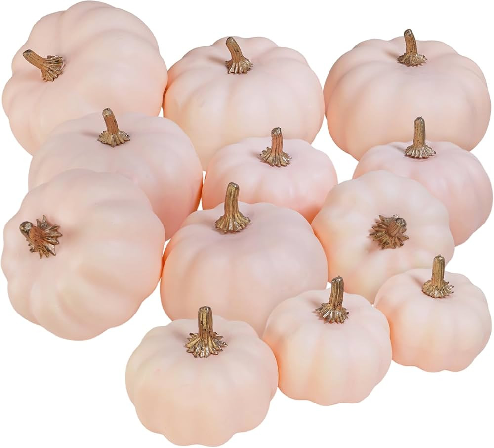 Winlyn 12 Pcs Assorted Small Light Pink Artificial Pumpkins Decorative Pumpkins Harvest Foam Pump... | Amazon (US)
