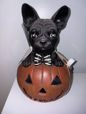 NWT! Frenchie French Bulldog Halloween Pumpkin Lights Up | eBay US